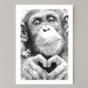 Thank You – Digital Download Thank You – Digital Download